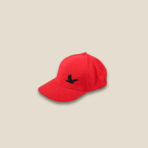 Bird Black Cap Red Color - Area Beige