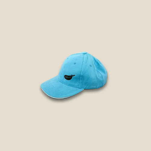 Feather Cap Sky Blue Color - Area Beige